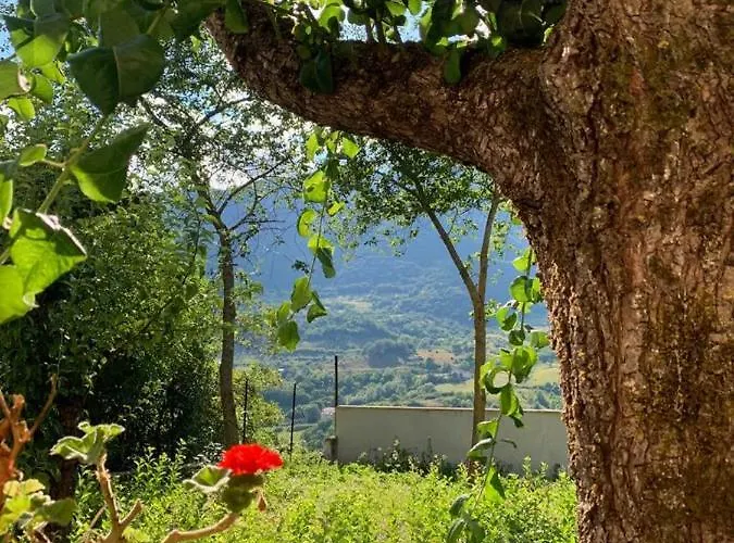 B&B Al San Francesco Castel Di Sangro