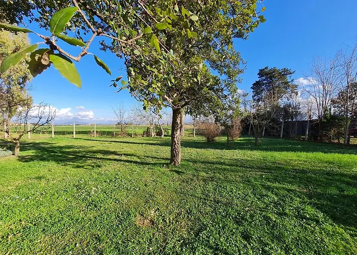 B&B L'Acquarello Marina di Grosseto