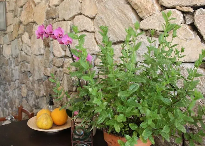 B&B Casale Coreallo Spotorno