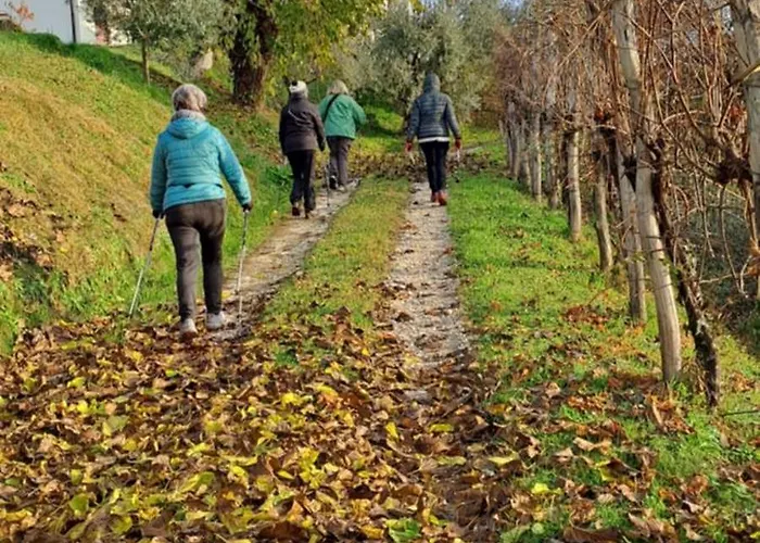 Bed and Breakfast Il giuggiolo Conegliano