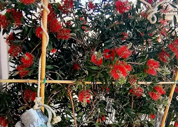 Le Mille E Una Puglia - Stories And Experiences Andria