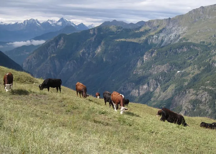 Hotel Meublè Meridiana Valtournenche
