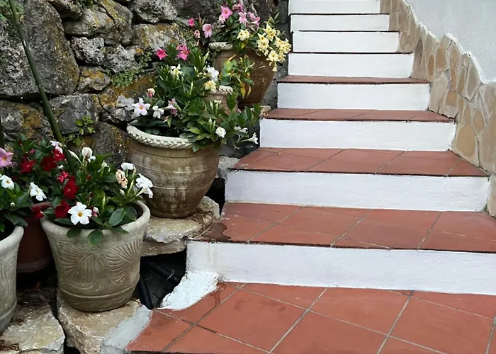 Bed and Breakfast Le Tre Rose Maratea