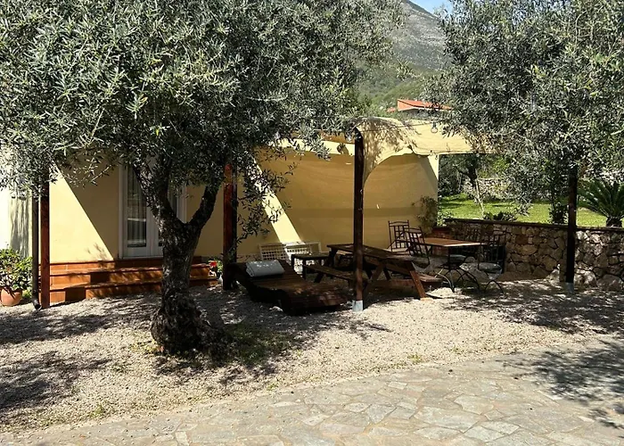 Bed and Breakfast L'Ulivo Formia