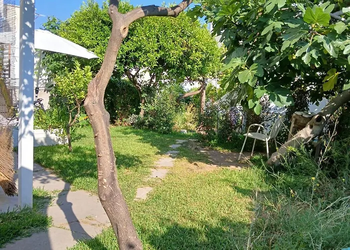 B&B Kamalei Tropea
