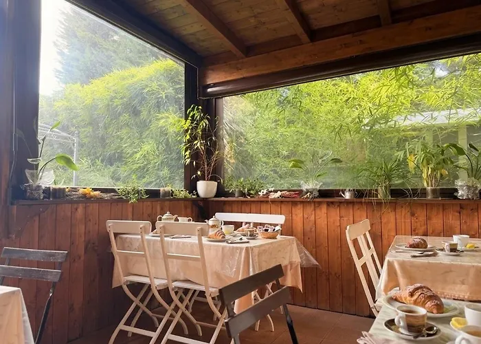 Cameracaffè sul Lago Arezzo