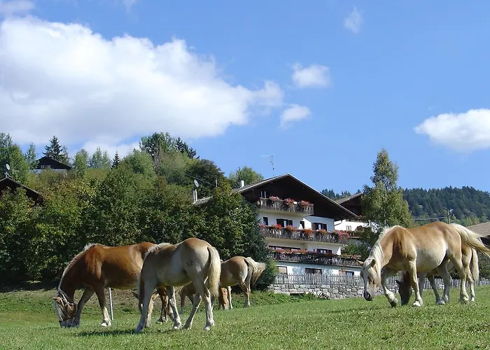 Hotel Haus Hafner Hafling
