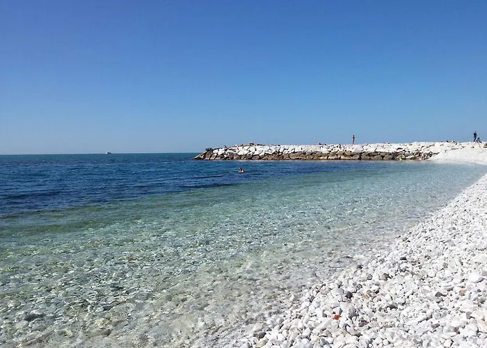 Il Pescatore Marina Di Pisa