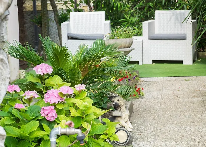 B&B Pereuka Rovigo